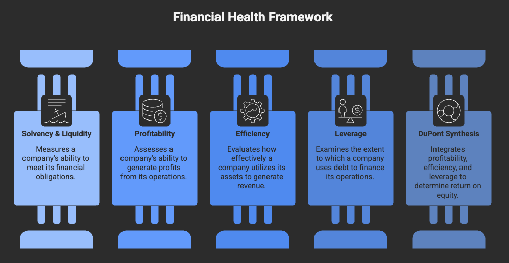 Financial Health Framework — 5 pillars: Solvency & Liquidity, Profitability, Efficiency, Leverage, DuPont Synthesis, each with a brief description