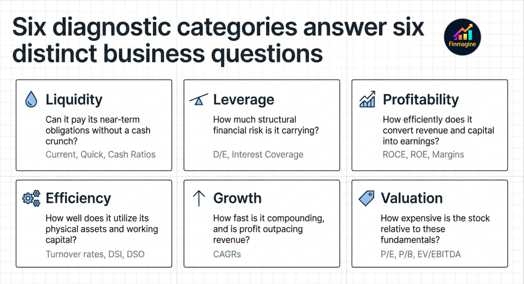 Six diagnostic categories — Liquidity, Leverage, Profitability, Efficiency, Growth, Valuation — each answering a distinct business question