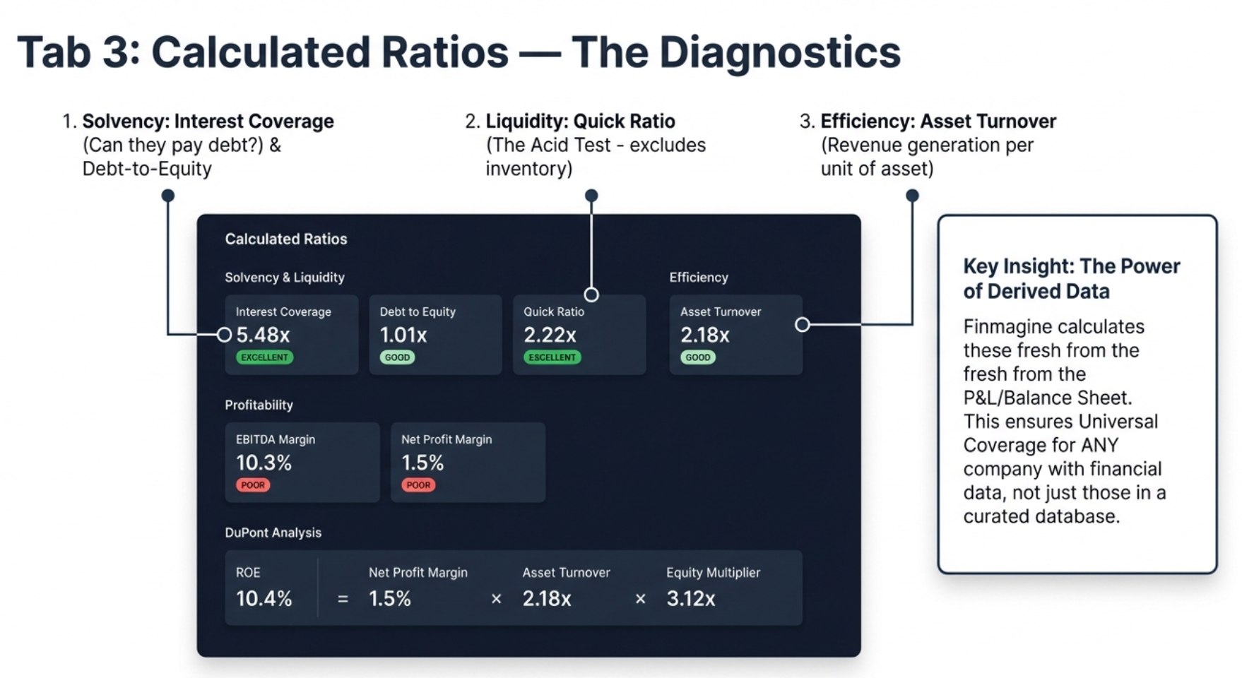 Tab 3: Calculated Ratios - The Diagnostics showing Solvency (Interest Coverage, Debt to Equity), Liquidity (Quick Ratio), Efficiency (Asset Turnover), and the power of derived data